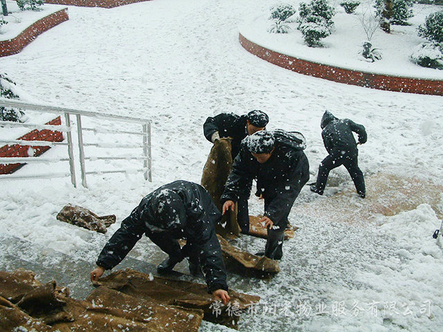 保障業主出行“冰災除雪”